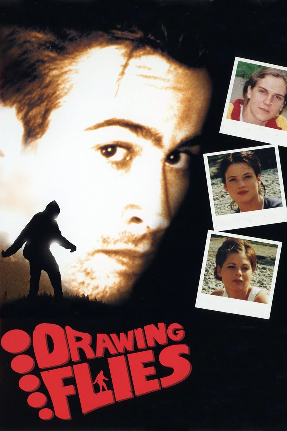 Постер Drawing Flies